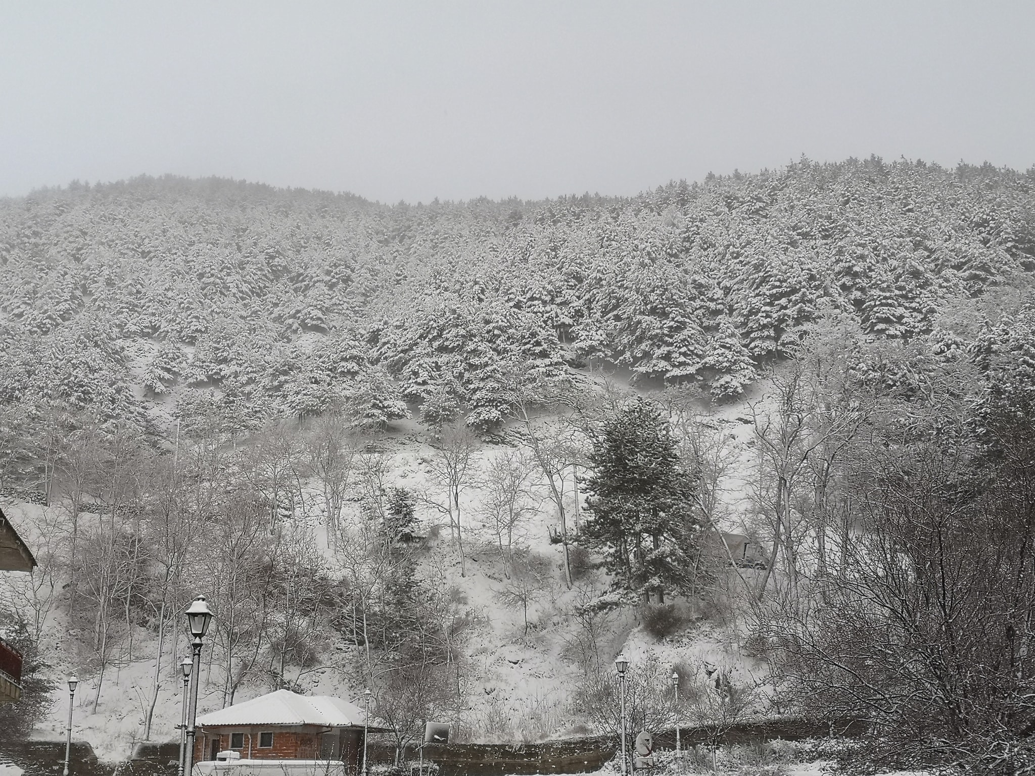 90427661_1292633007599784_2954256210460672000_o.jpg Στα λευκά ο Όλυμπος