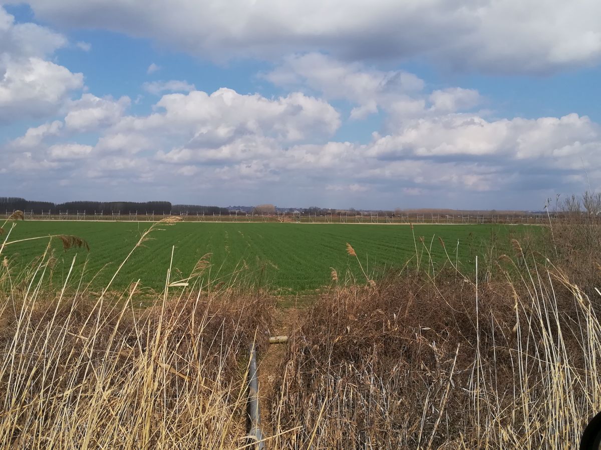 img_20200306_132524.jpg img_20200306_132524.jpg