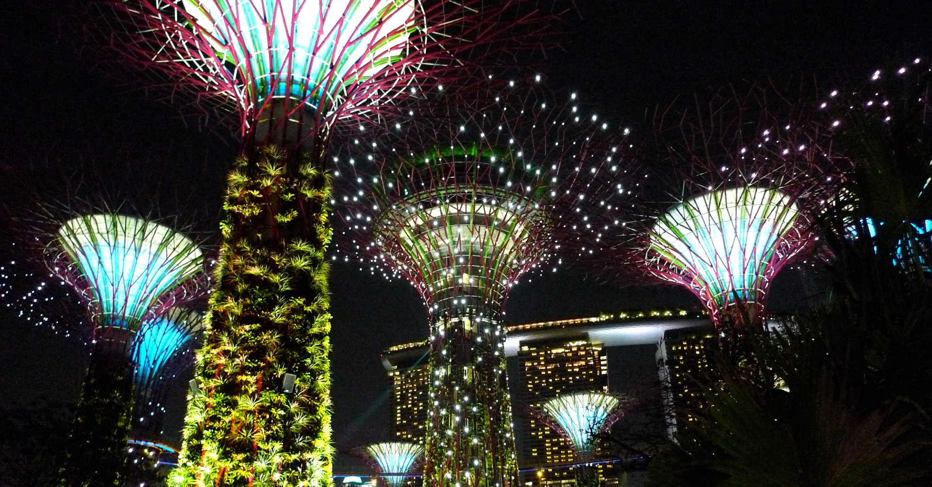 supertree_grove_gardens_by_the_bay_singapore_-_20120630-04.jpg