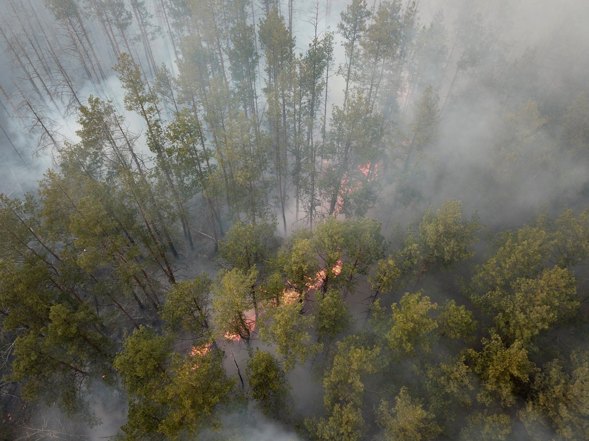 Φωτιά στο Τσερνόμπιλ