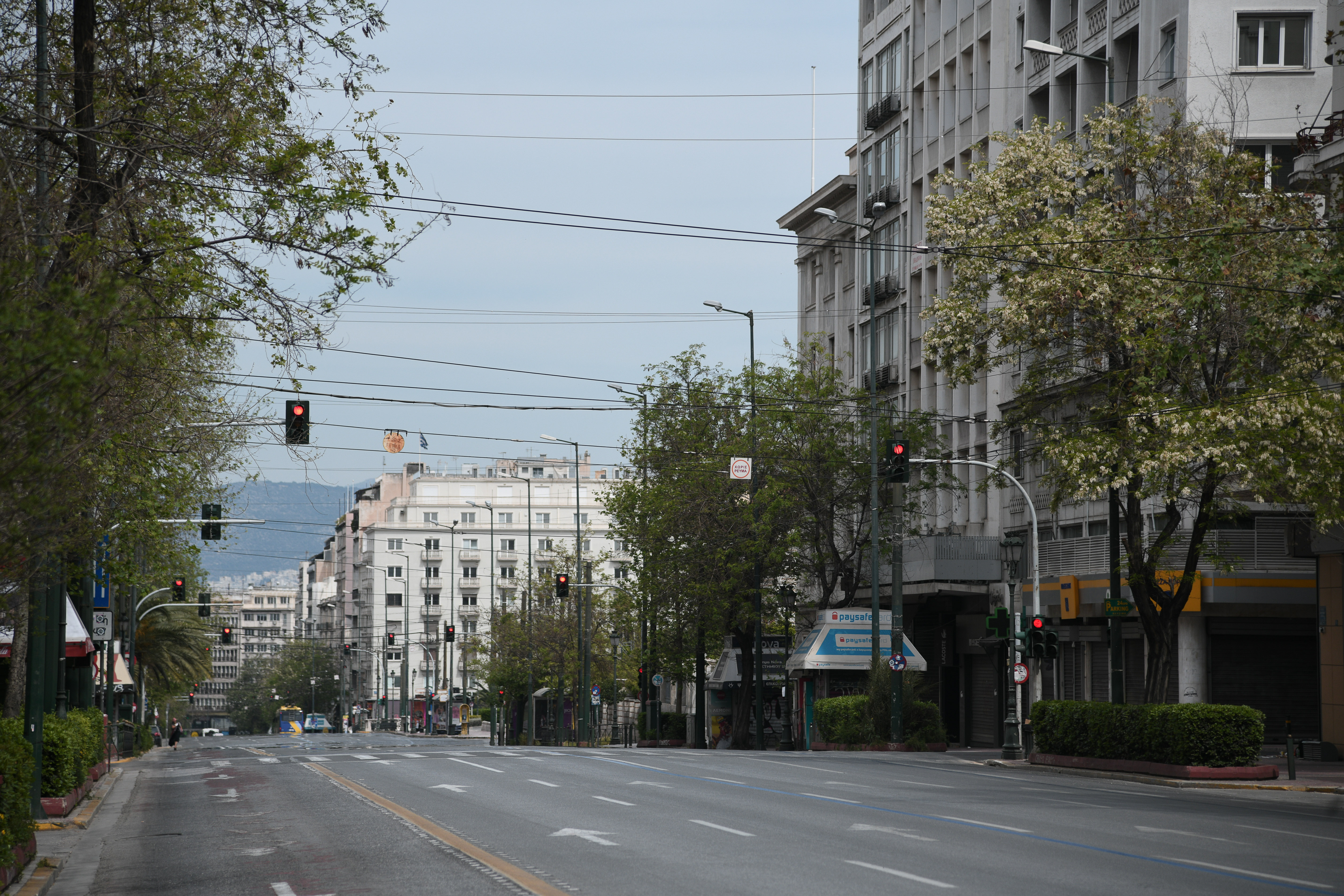 5073010.jpg 5073010.jpg