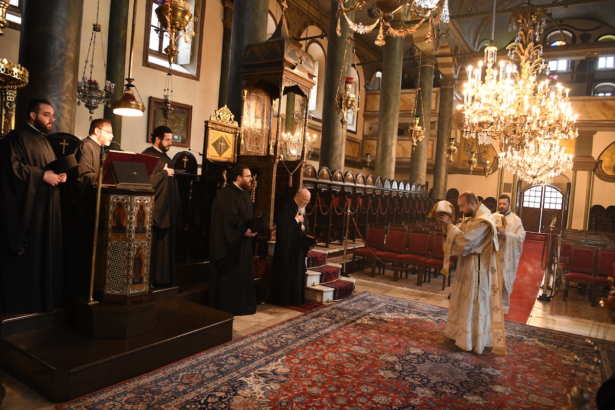 dsc_6051.jpg dsc_6051.jpg