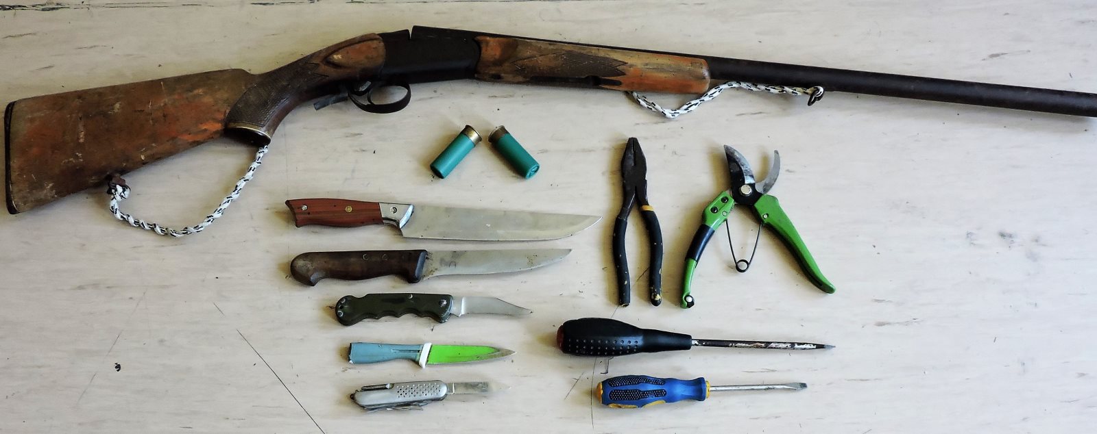 eurimata-elas4.jpg eurimata-elas4.jpg