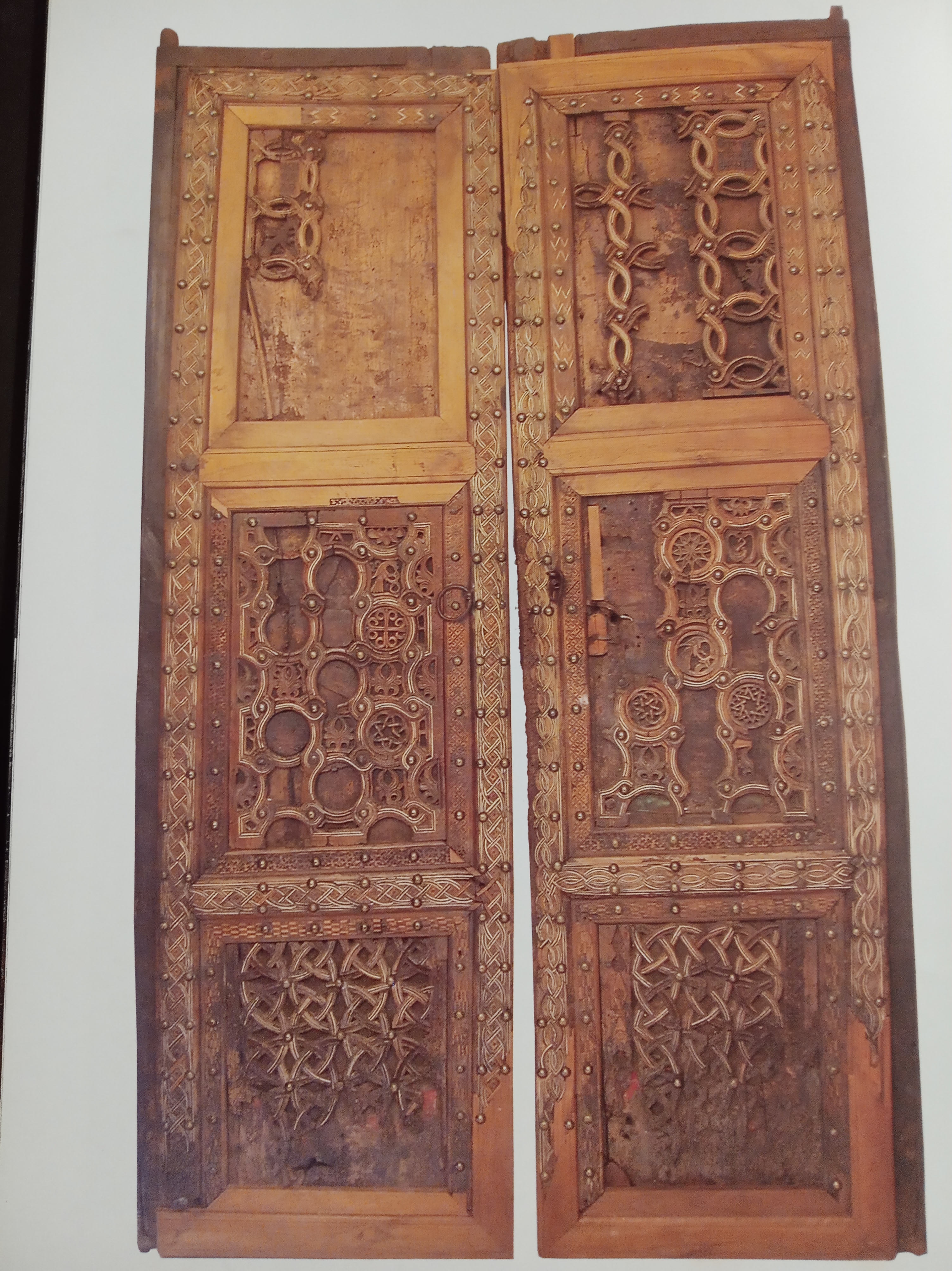 i_xyloglypti_thyra_toy_13oy_aiona.jpg i_xyloglypti_thyra_toy_13oy_aiona.jpg