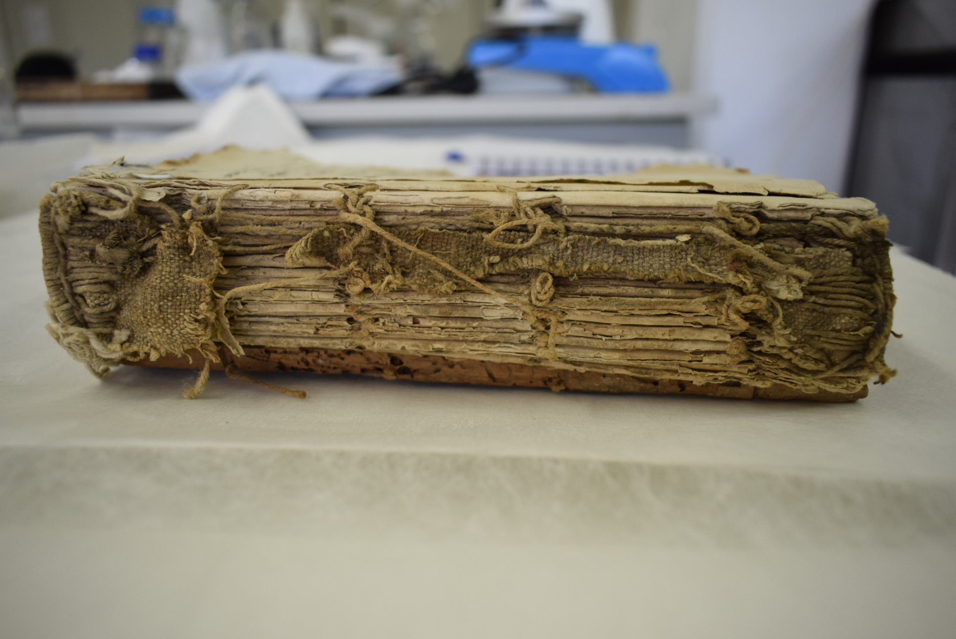 katestrammeni_rahi.jpg katestrammeni_rahi.jpg