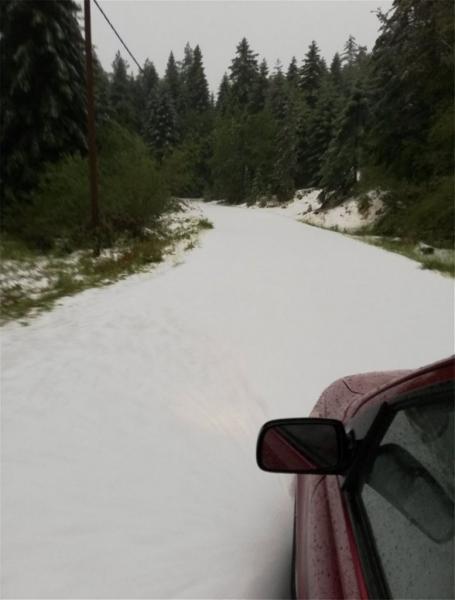 xioni2.jpg xioni2.jpg