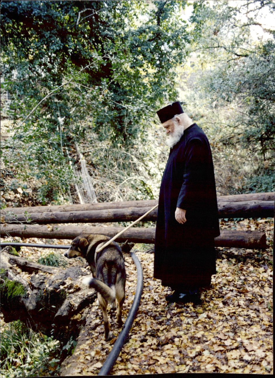 color0085.jpg color0085.jpg