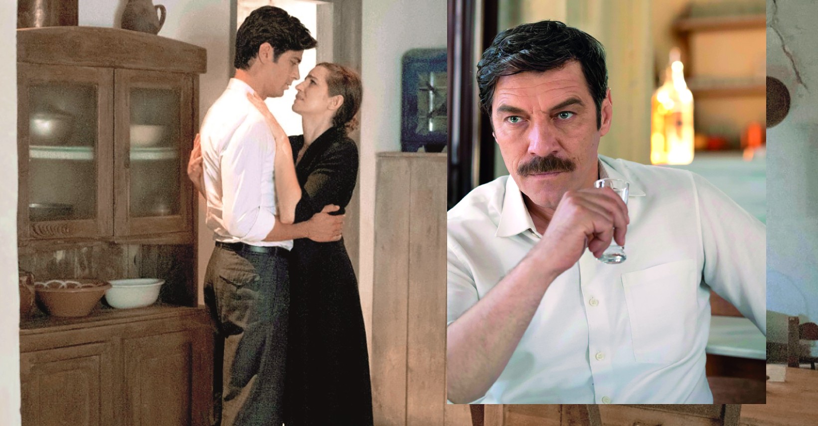 Αγριες μέλισσες