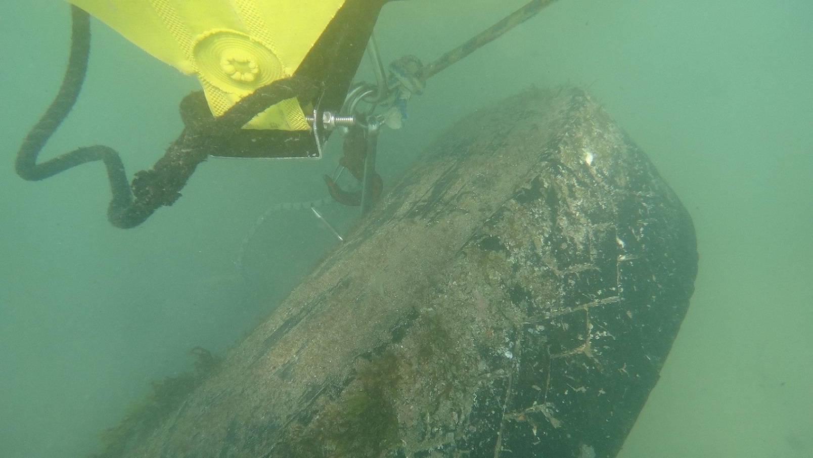 weseamore_3.jpg weseamore_3.jpg