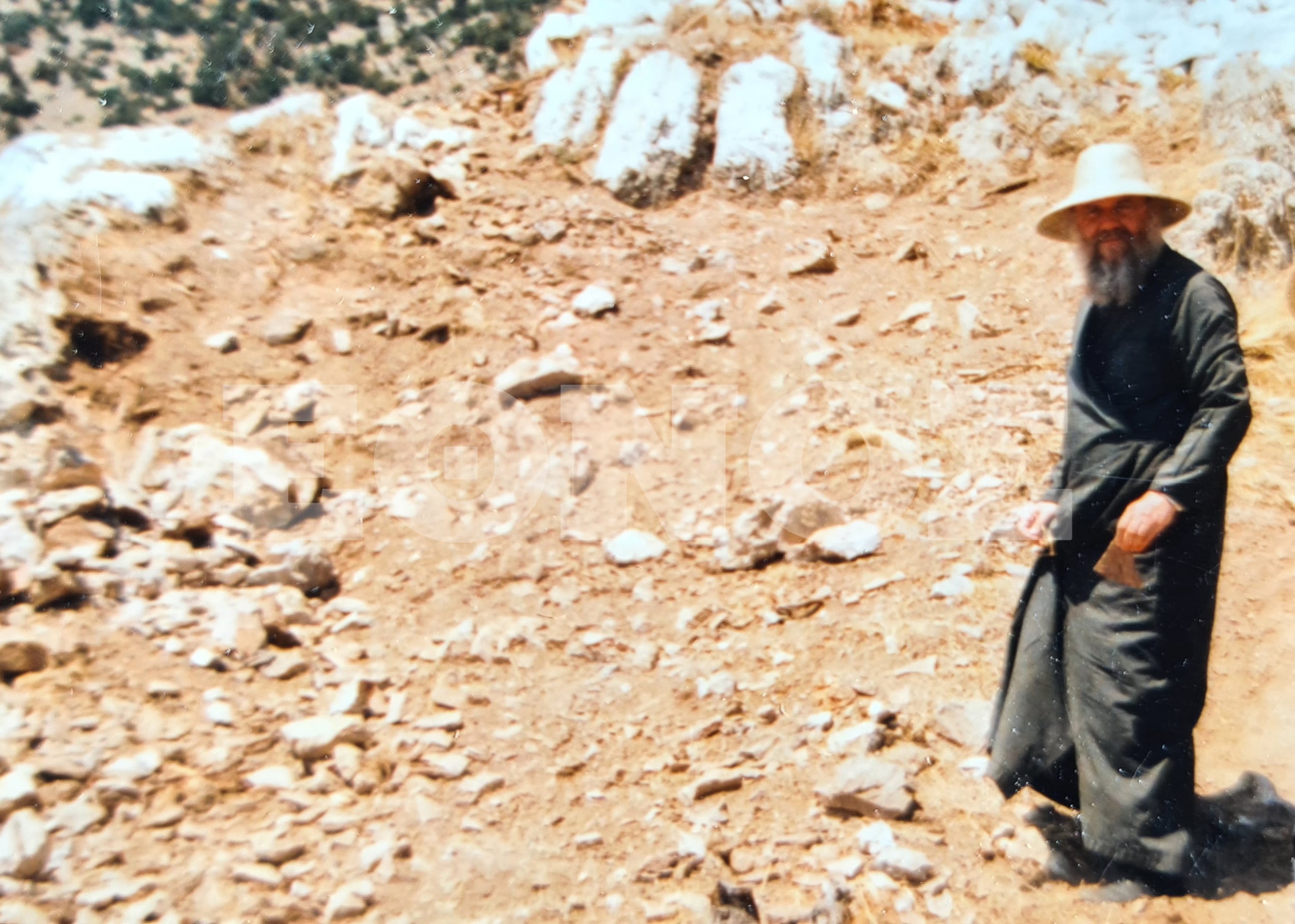 20200722_195138.jpg 20200722_195138.jpg