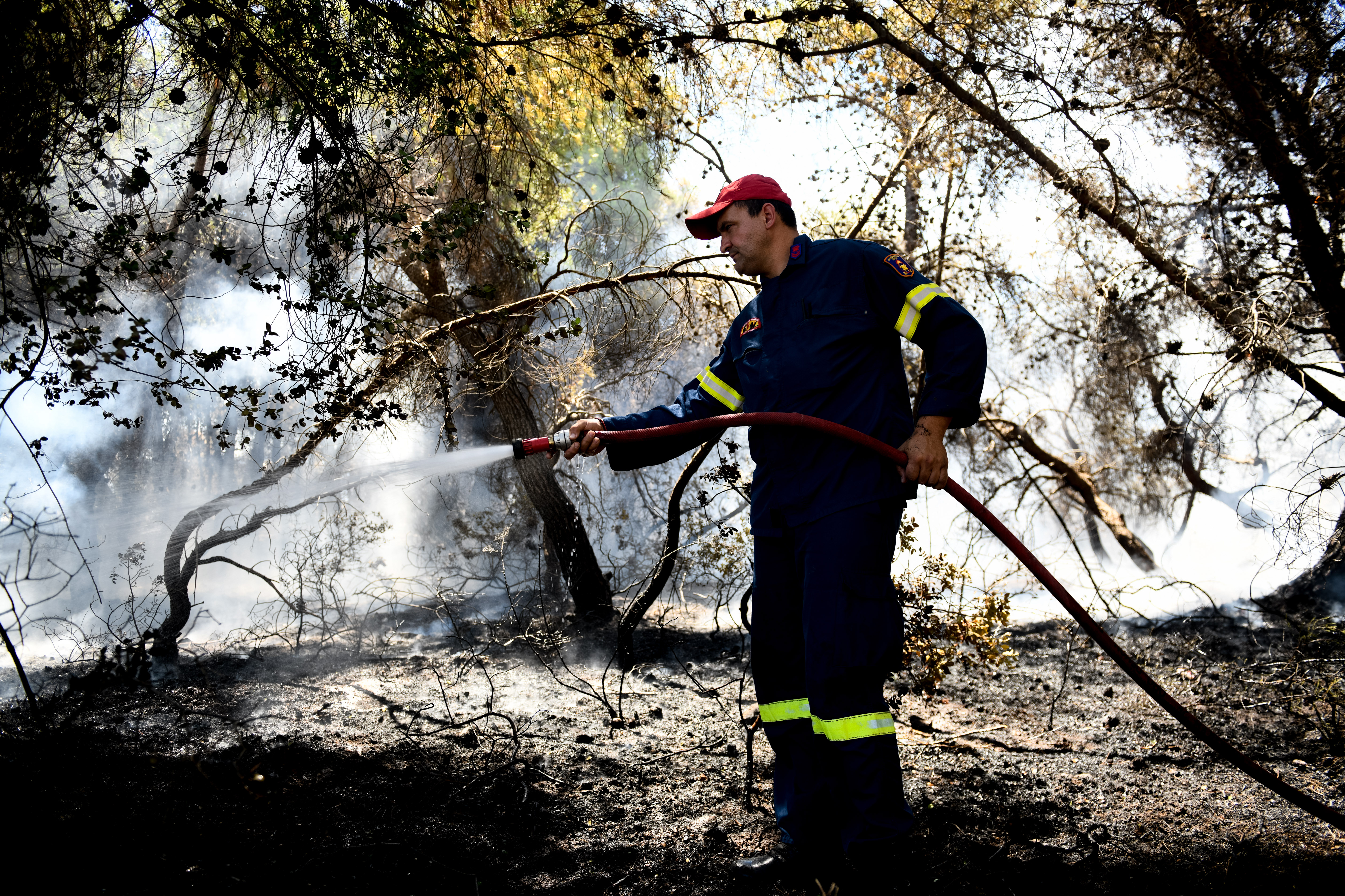 5119443.jpg 5119443.jpg