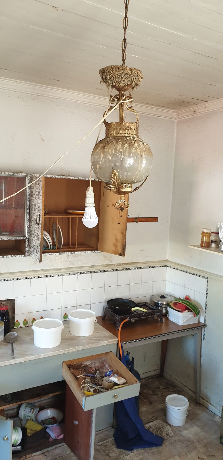 nea_roda_helidonofolia.jpg nea_roda_helidonofolia.jpg