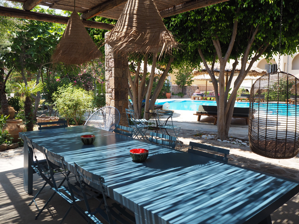 p7080084.jpg p7080084.jpg