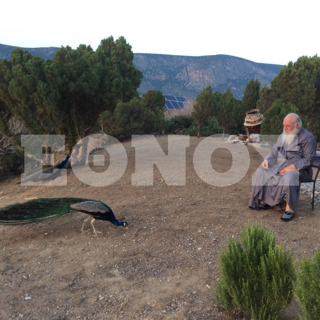 thumb_img_3727_1024.jpg thumb_img_3727_1024.jpg