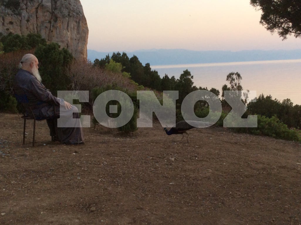 thumb_img_3732_1024.jpg thumb_img_3732_1024.jpg