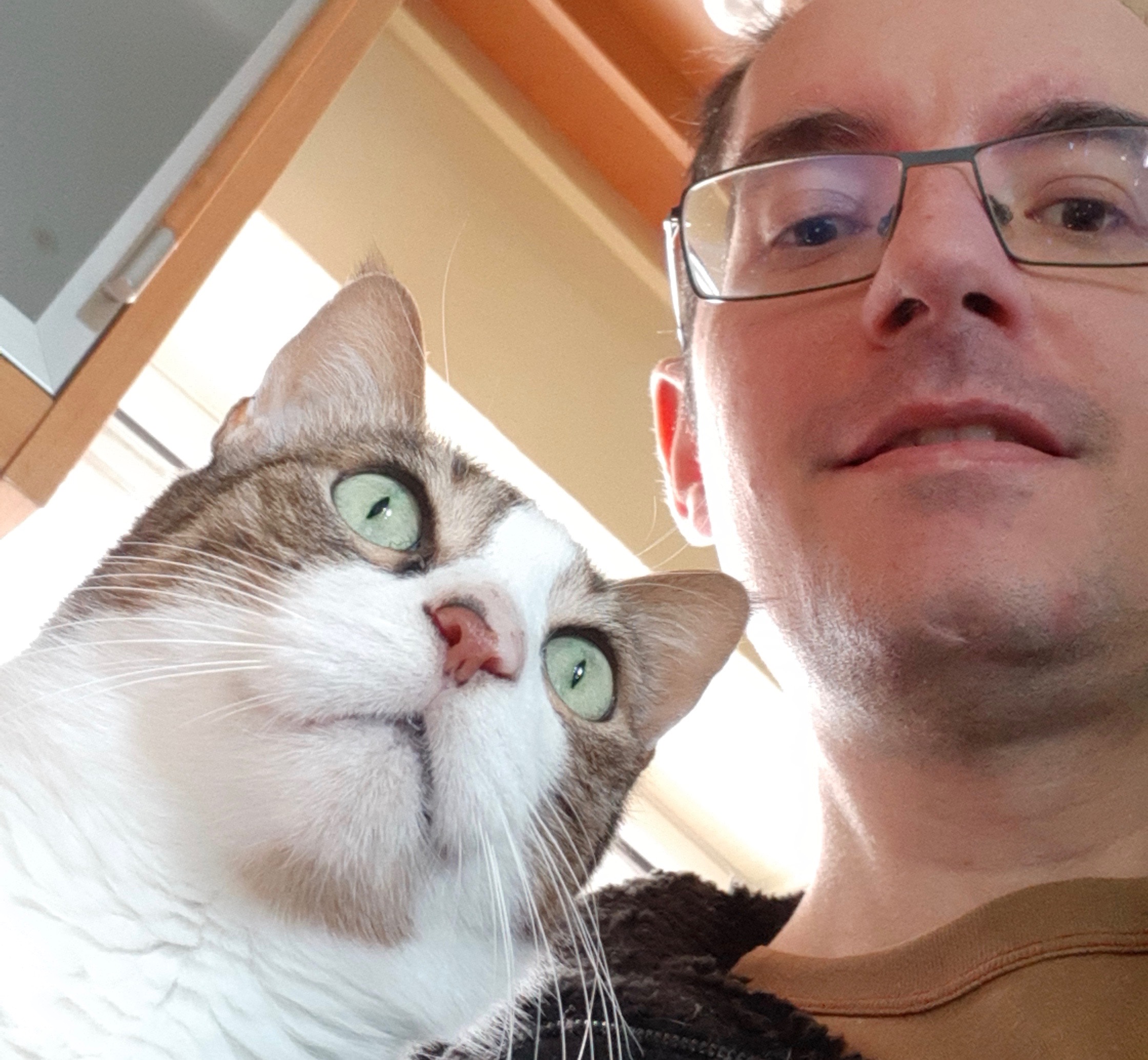 dimokidis_2.jpg dimokidis_2.jpg