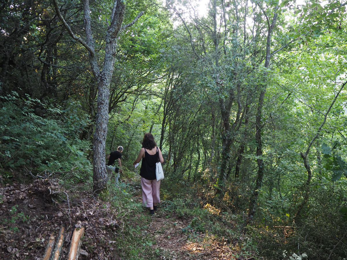 p7030022.jpg p7030022.jpg