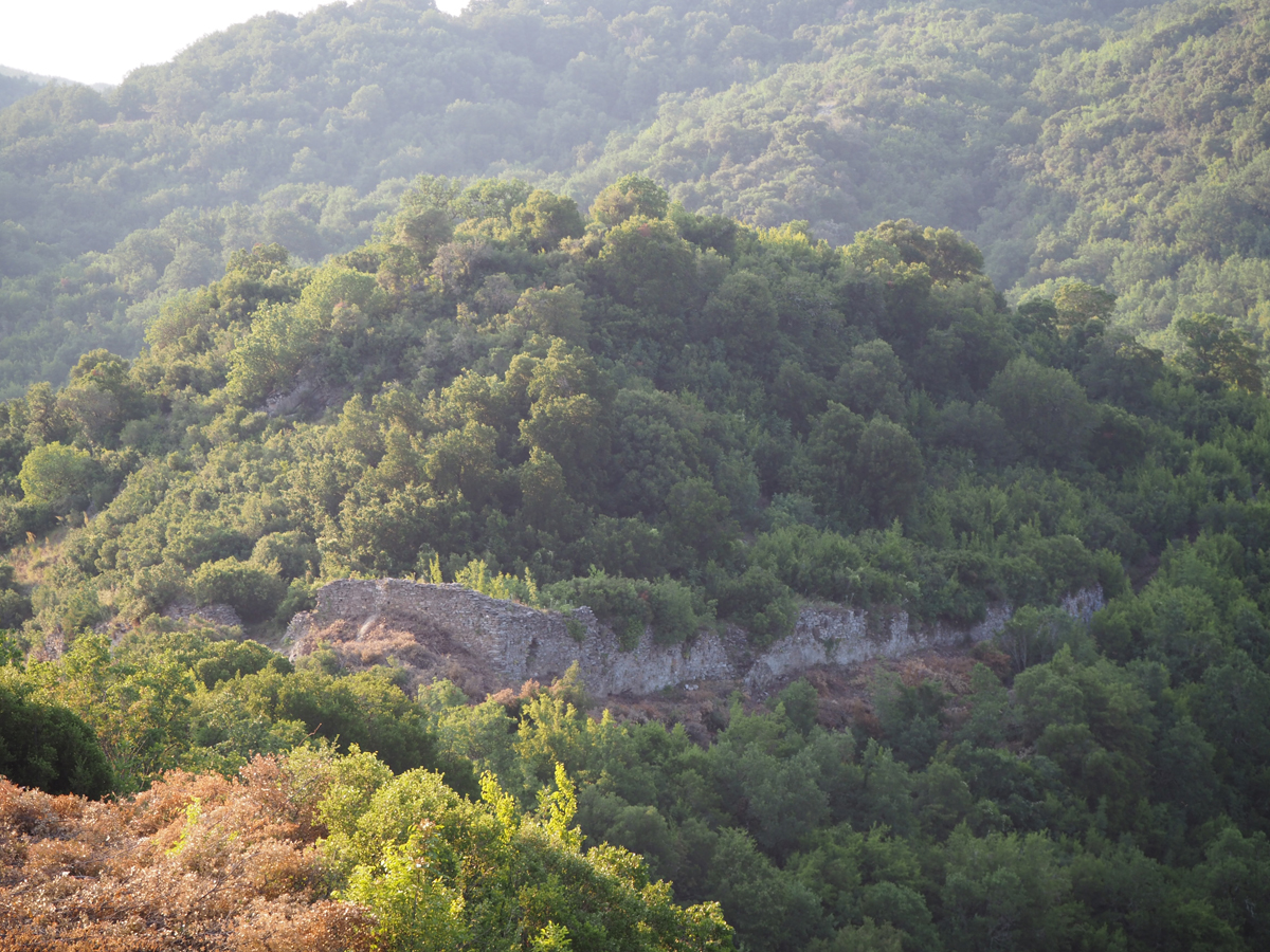 p7030060.jpg p7030060.jpg