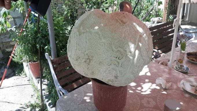 processed-681x384.jpg processed-681x384.jpg