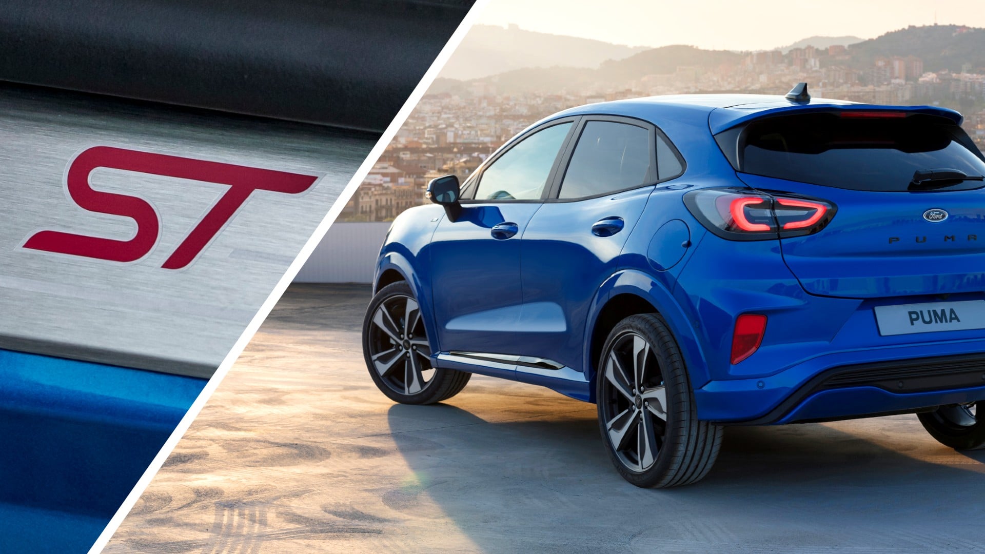 puma_st.jpg puma_st.jpg