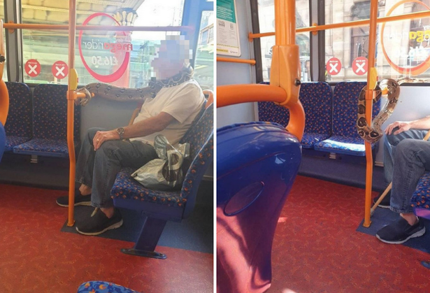 1_untitled-design-27.png 1_untitled-design-27.png