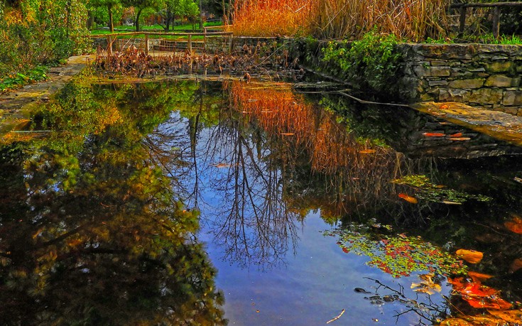 kipos_b.jpg kipos_b.jpg