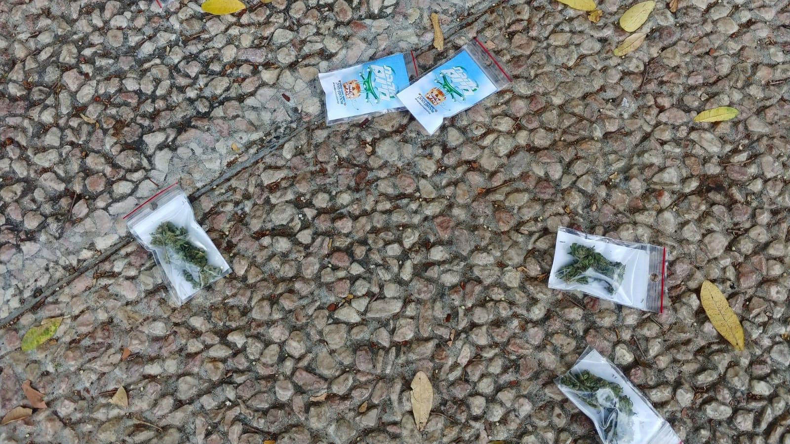 marijuana-israel-cannabis.jpg marijuana-israel-cannabis.jpg