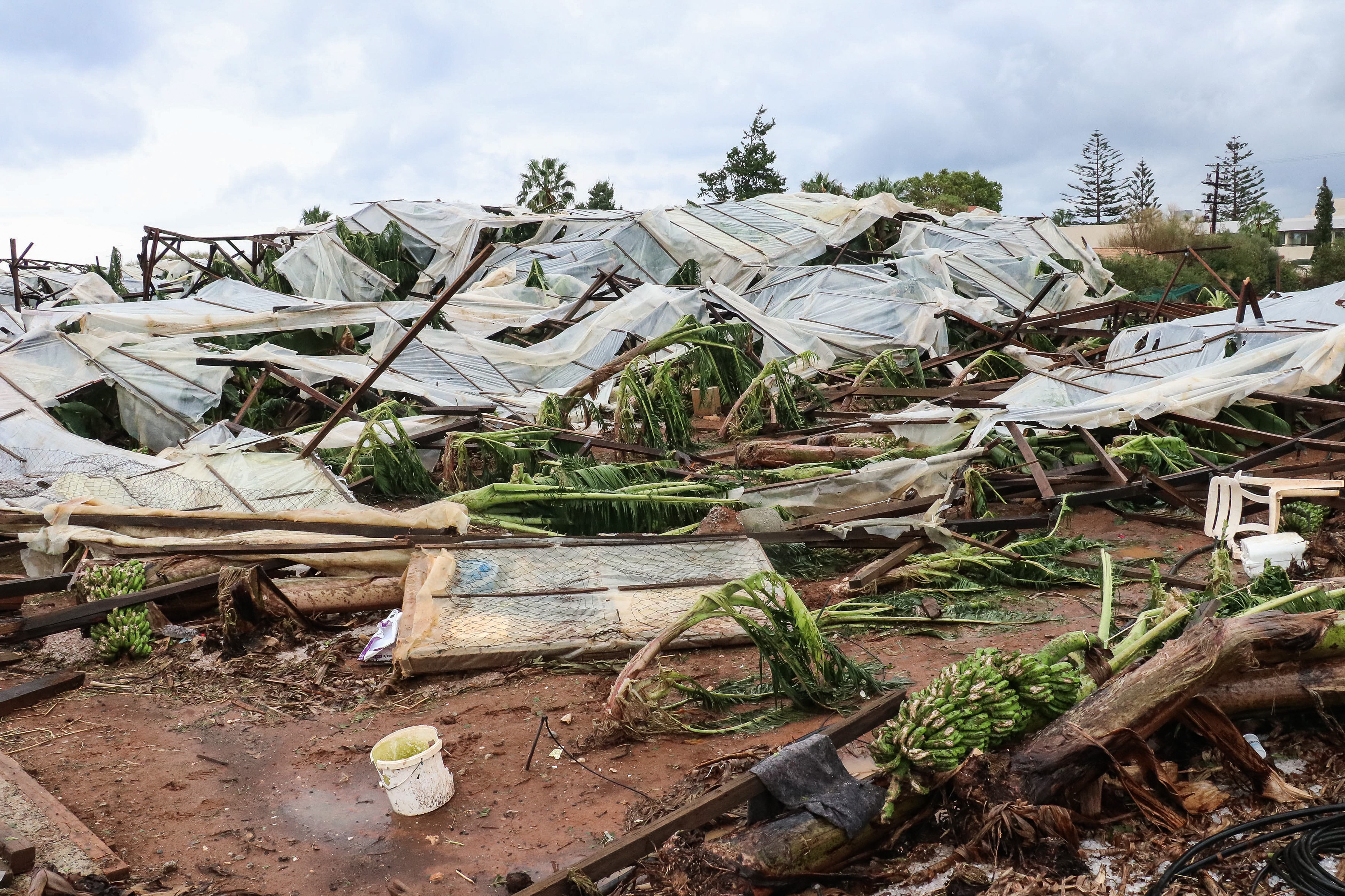 5171255.jpg 5171255.jpg