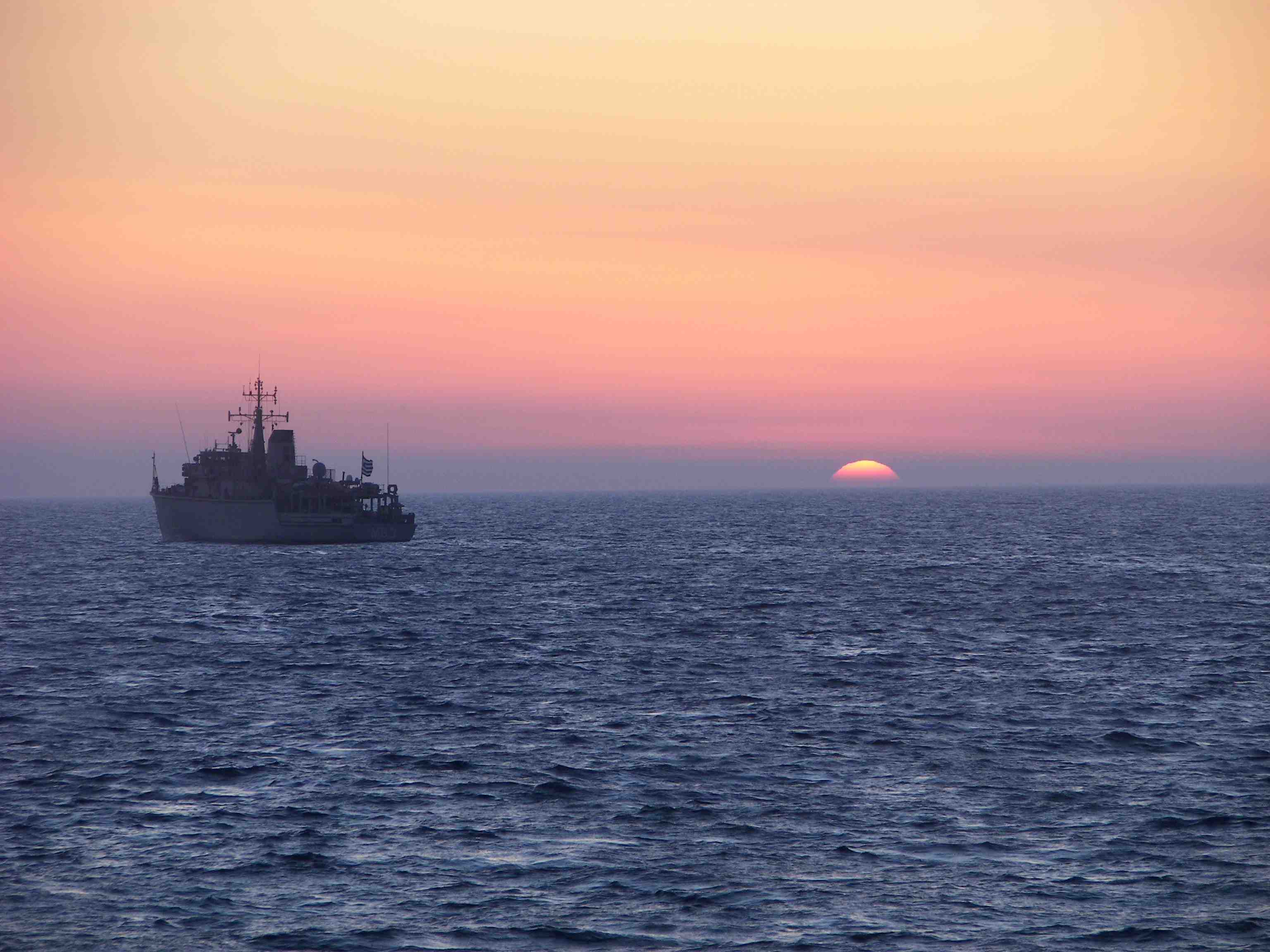 kallisto2.jpeg kallisto2.jpeg