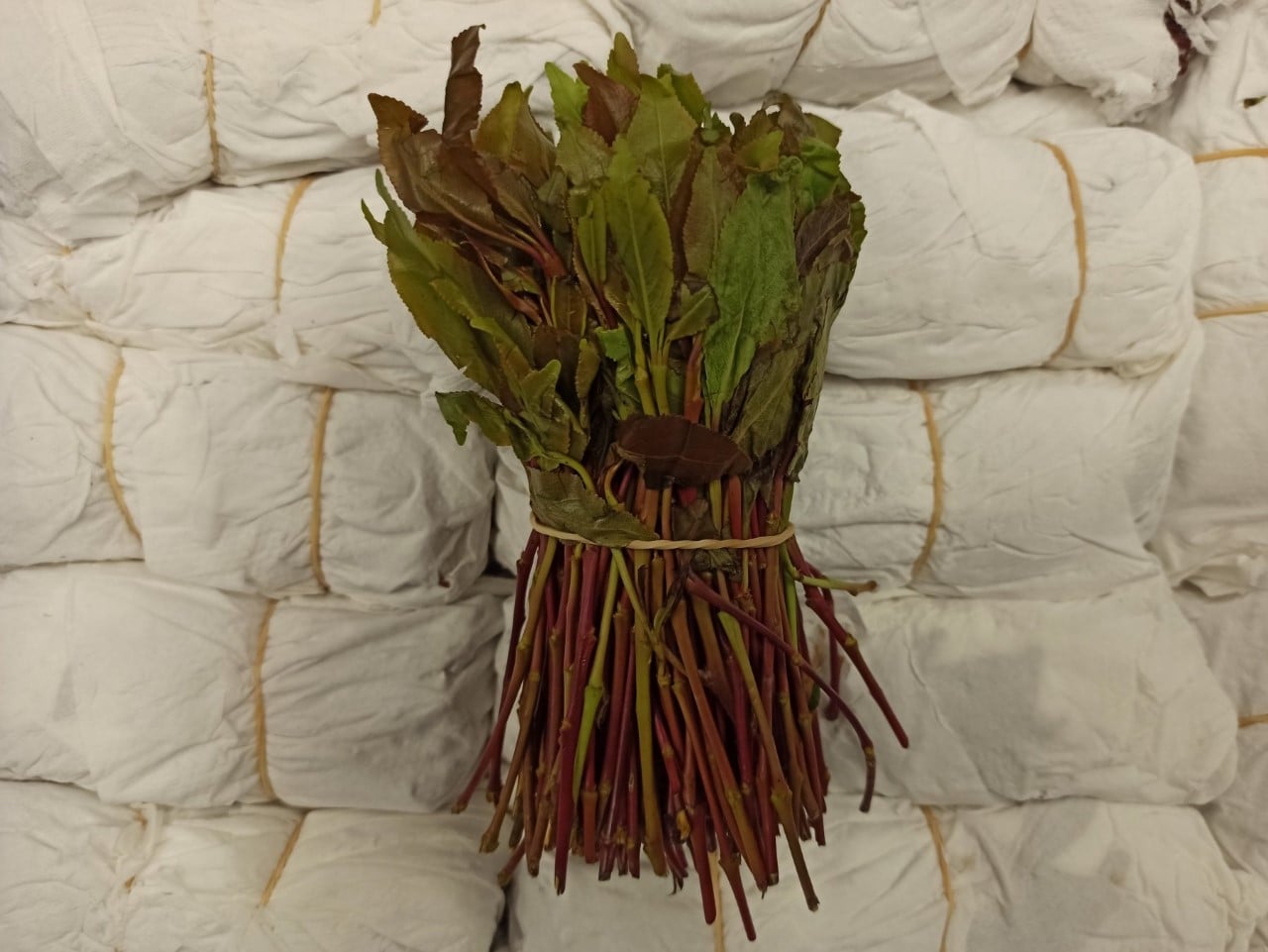 khat1.jpg khat1.jpg