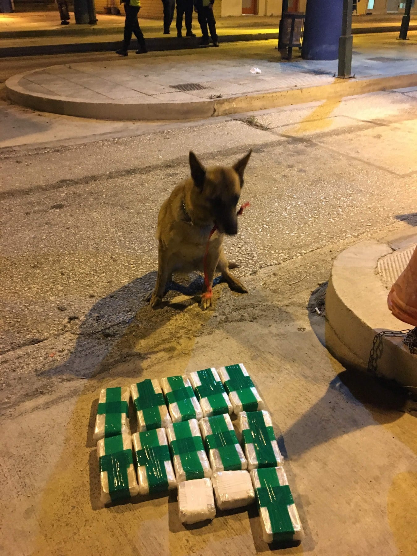Η Λέσυ, ο αστυνομικός σκύλος της Περιφερειακής Ομάδας Δίωξης Ναρκωτικών του Κεντρικού Λιμεναρχείου Ηγουμενίτσας, έφτασε στην ώρα της αποστρατείας της.