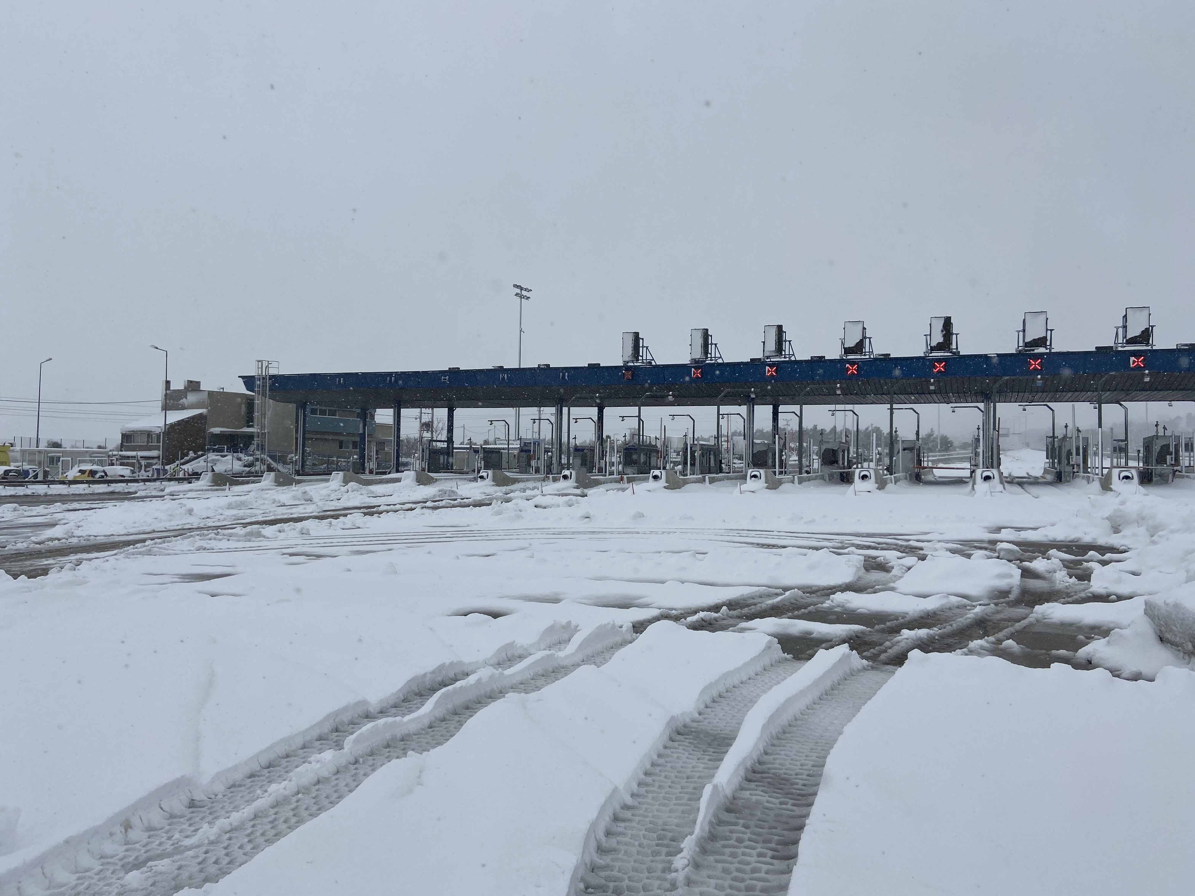 diodia-malakasa4.jpeg diodia-malakasa4.jpeg