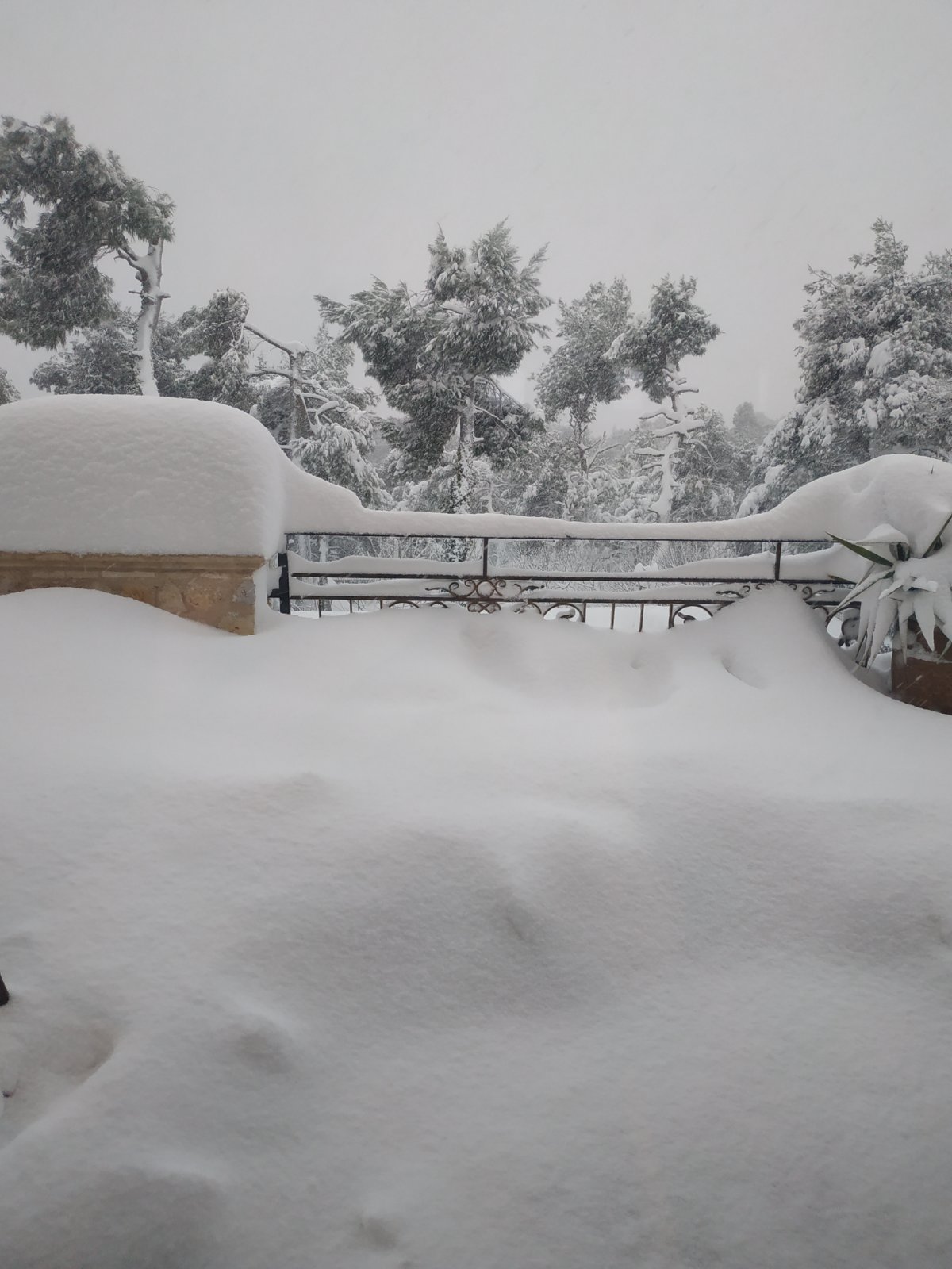 eikona_viber_2021-02-17_10-37-26.jpg eikona_viber_2021-02-17_10-37-26.jpg