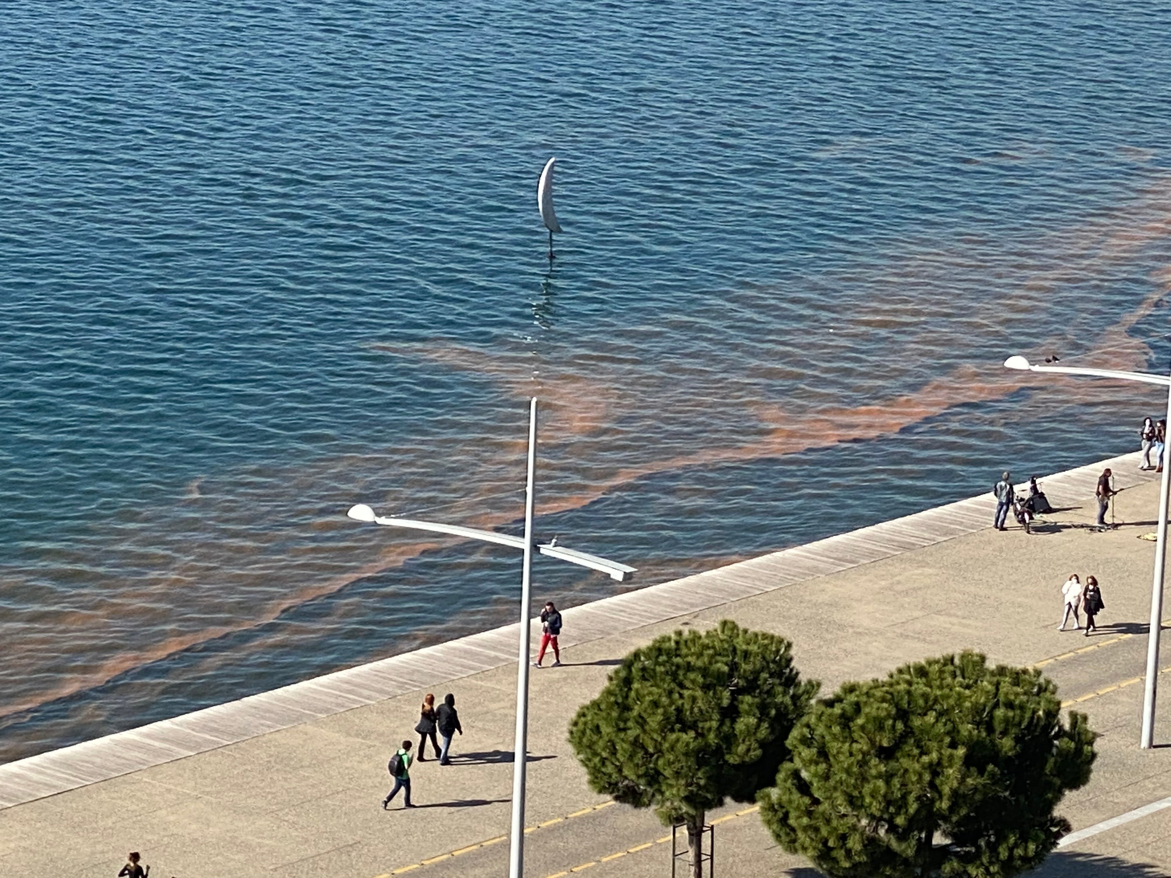 Ερυθρά παλίρροια κοκκίνησε τον Θερμαικό