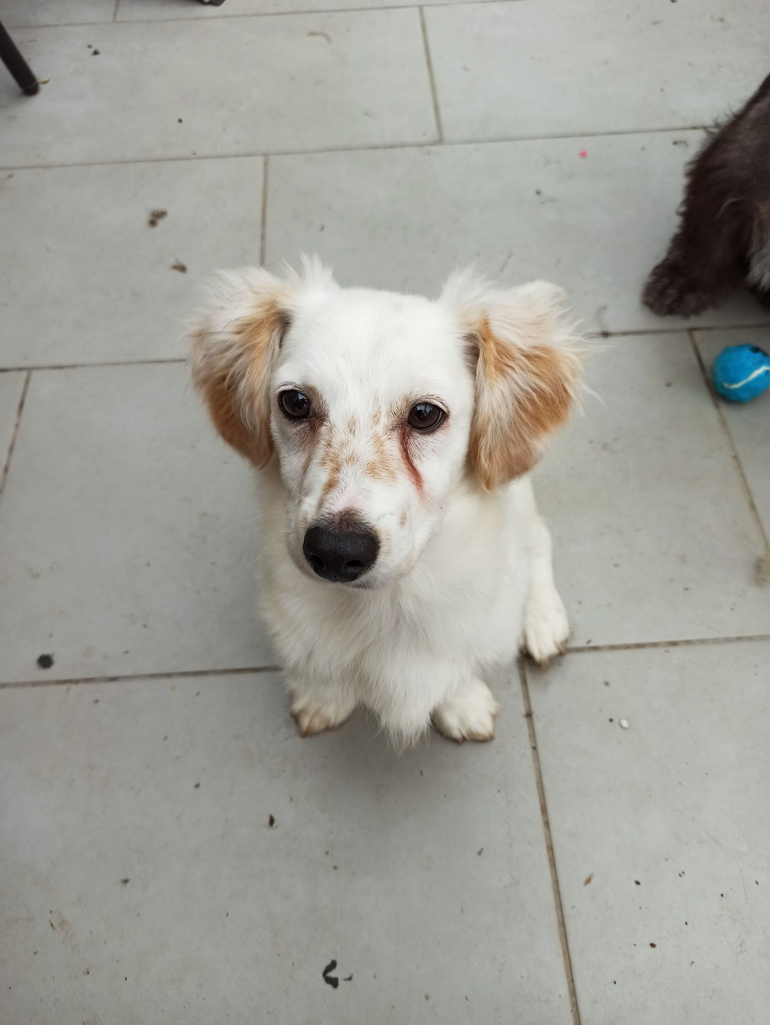 stavros1.jpg stavros1.jpg