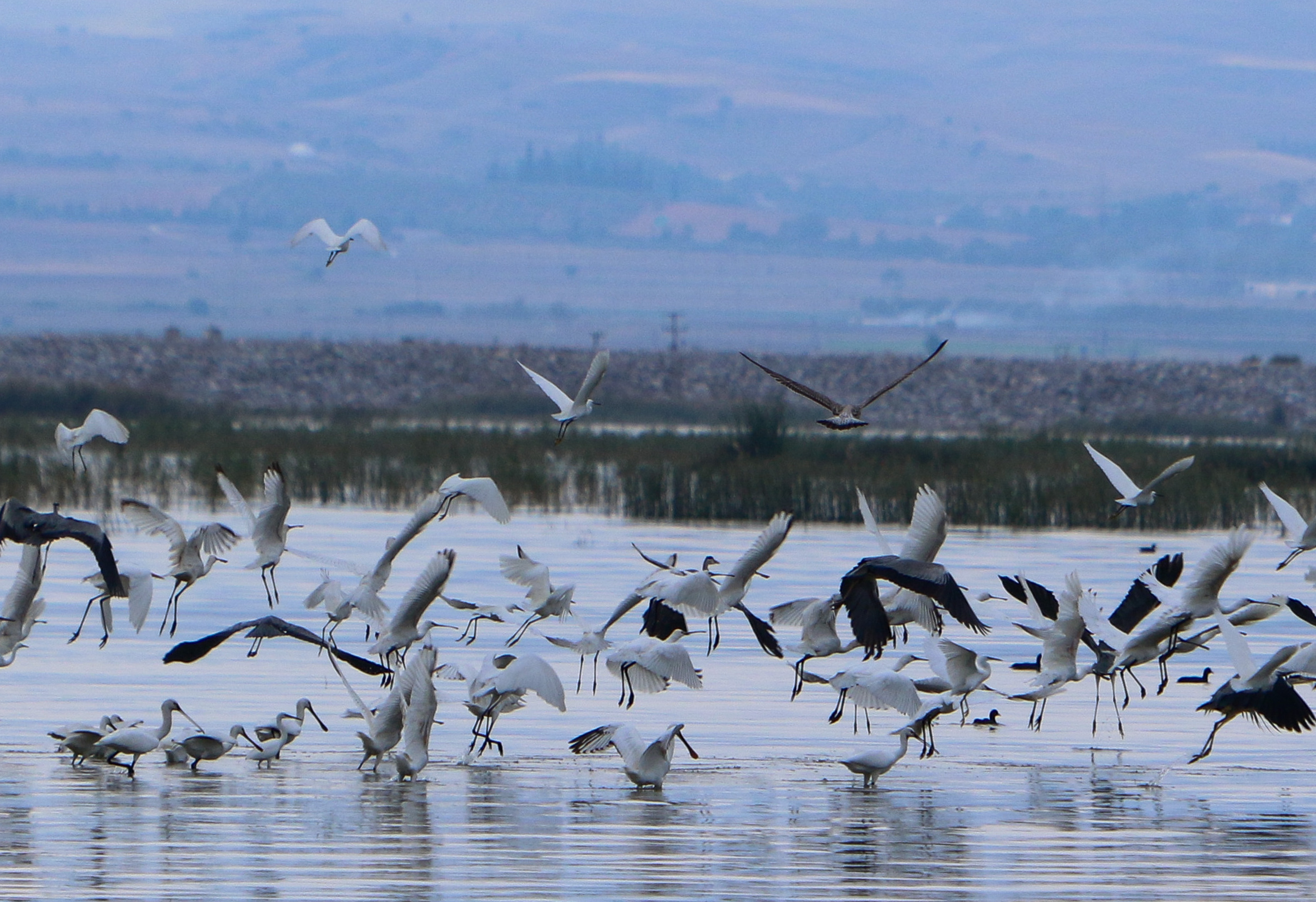 2625669.jpg λίμνη Κάρλα