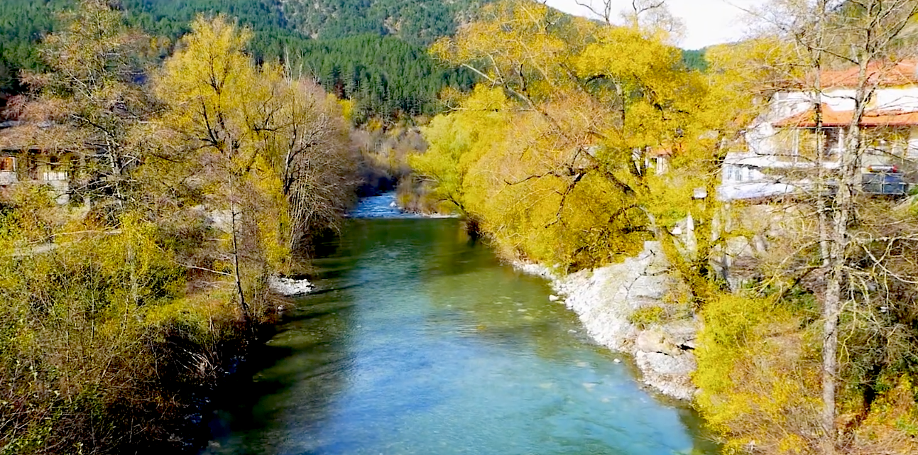 stigmiotypo_2021-03-18_14.57.14.png stigmiotypo_2021-03-18_14.57.14.png