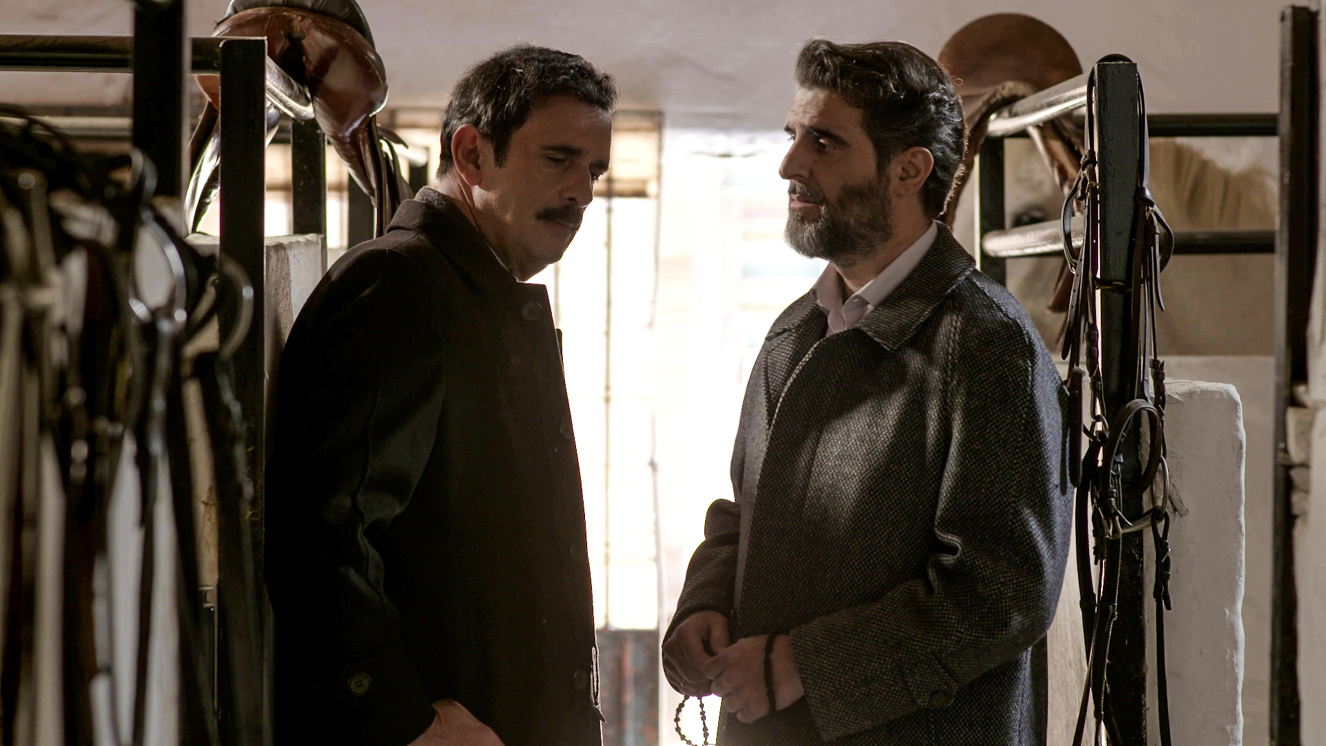 Άγριες Μέλισσες agries_melisses