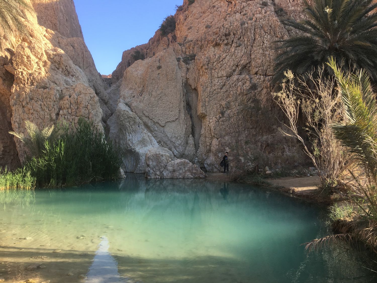 tynisia1.jpg tynisia1.jpg