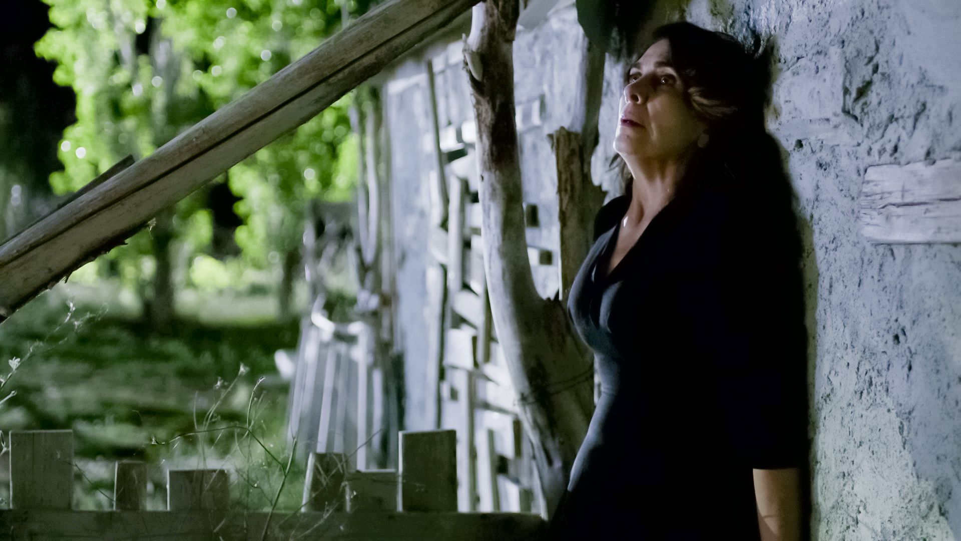 05agries_melisses.jpg Άγριες Μέλισσες