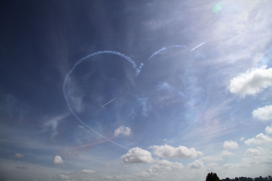 2272908.jpg 2272908.jpg