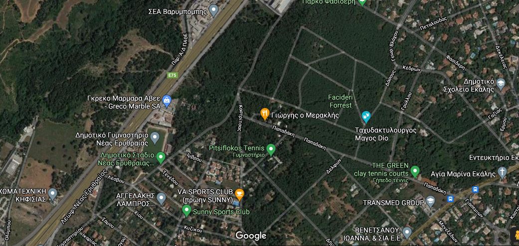 fasideri.jpg fasideri.jpg