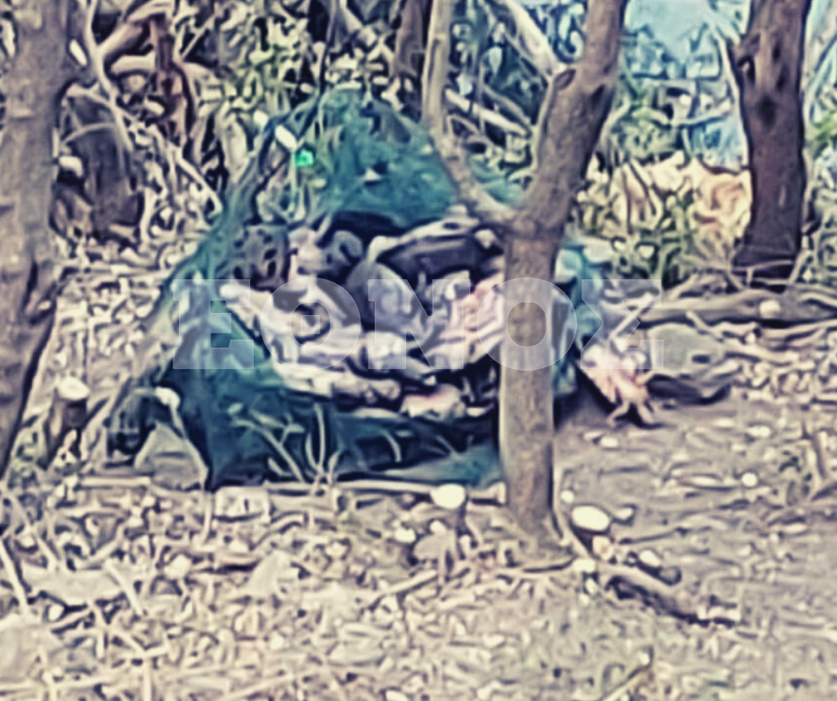 mpeletsi-2a.png νεκρές χελώνες στη Λίμνη Μπελέτσι