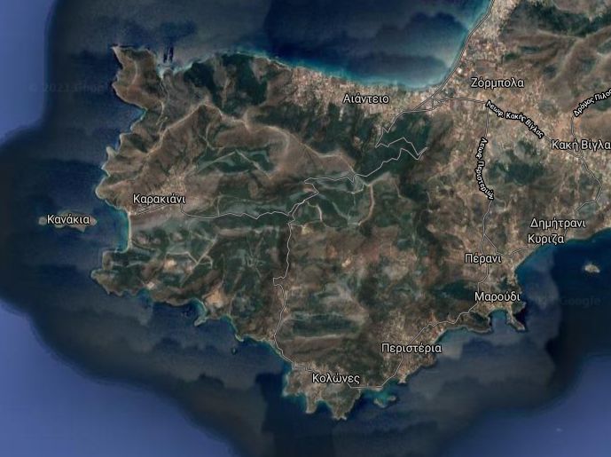 peristeria.jpg peristeria.jpg