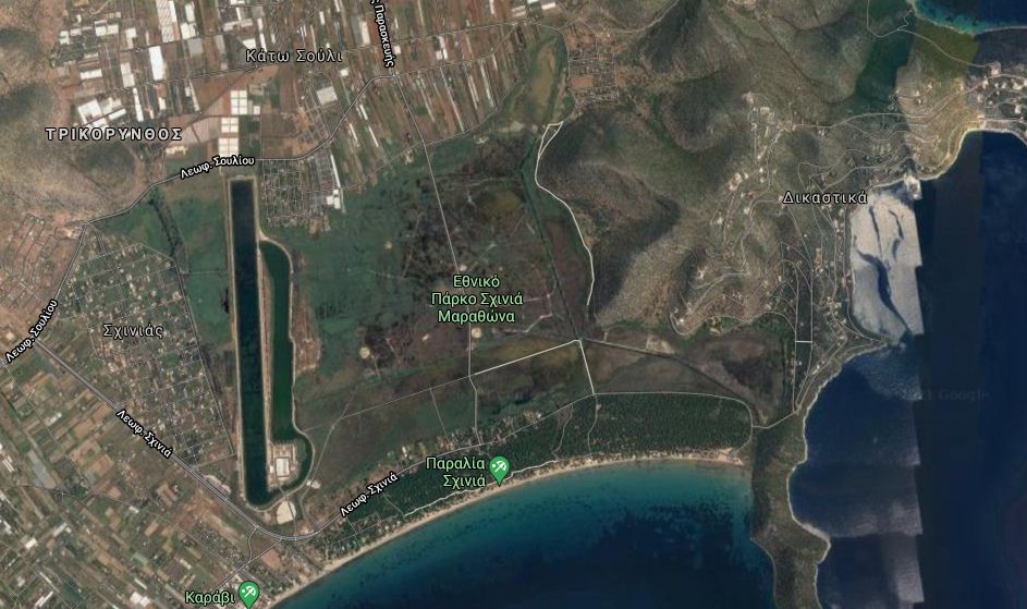 sxinias.jpg sxinias.jpg