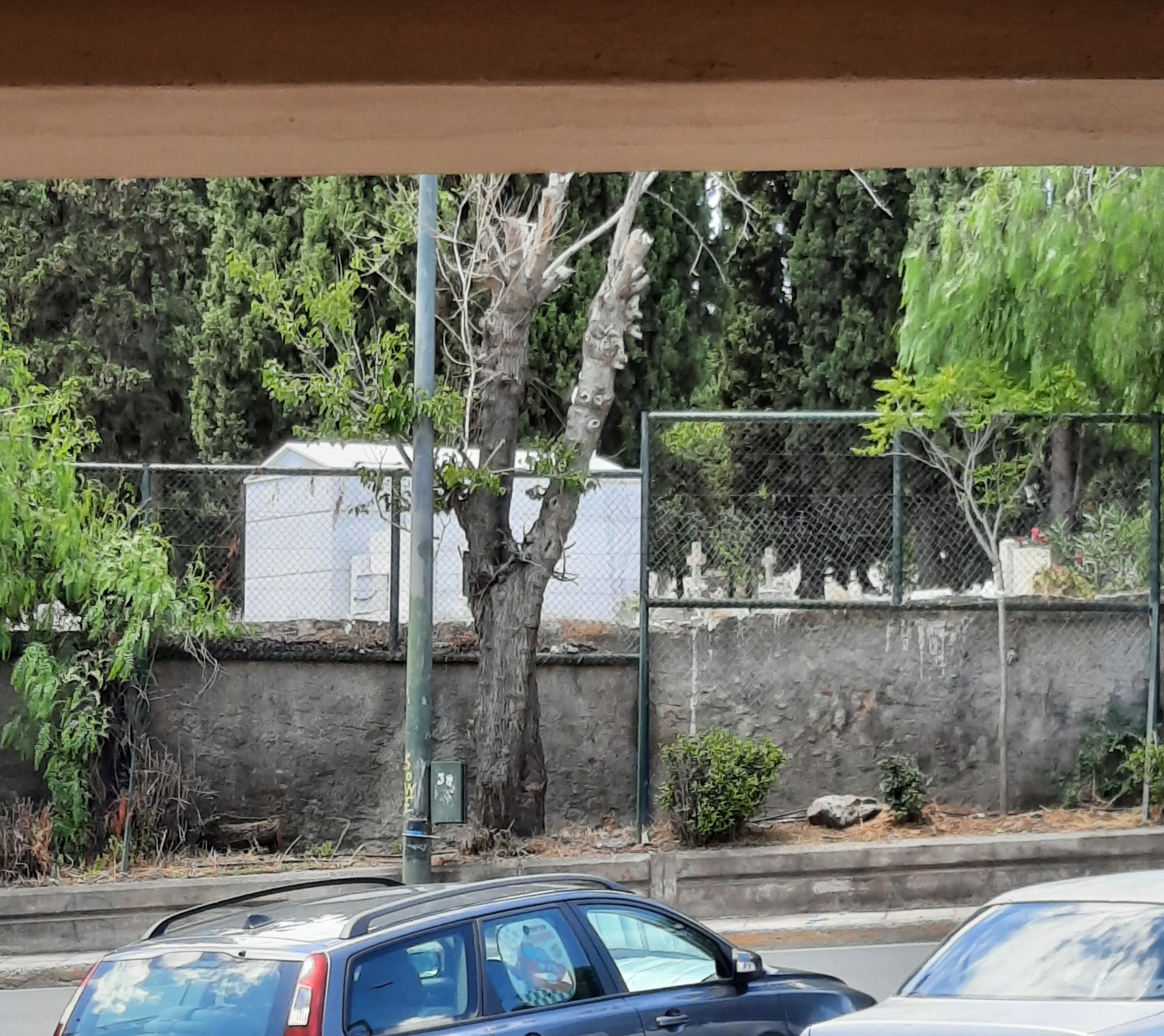 20210615_134728_1.jpg 20210615_134728_1.jpg