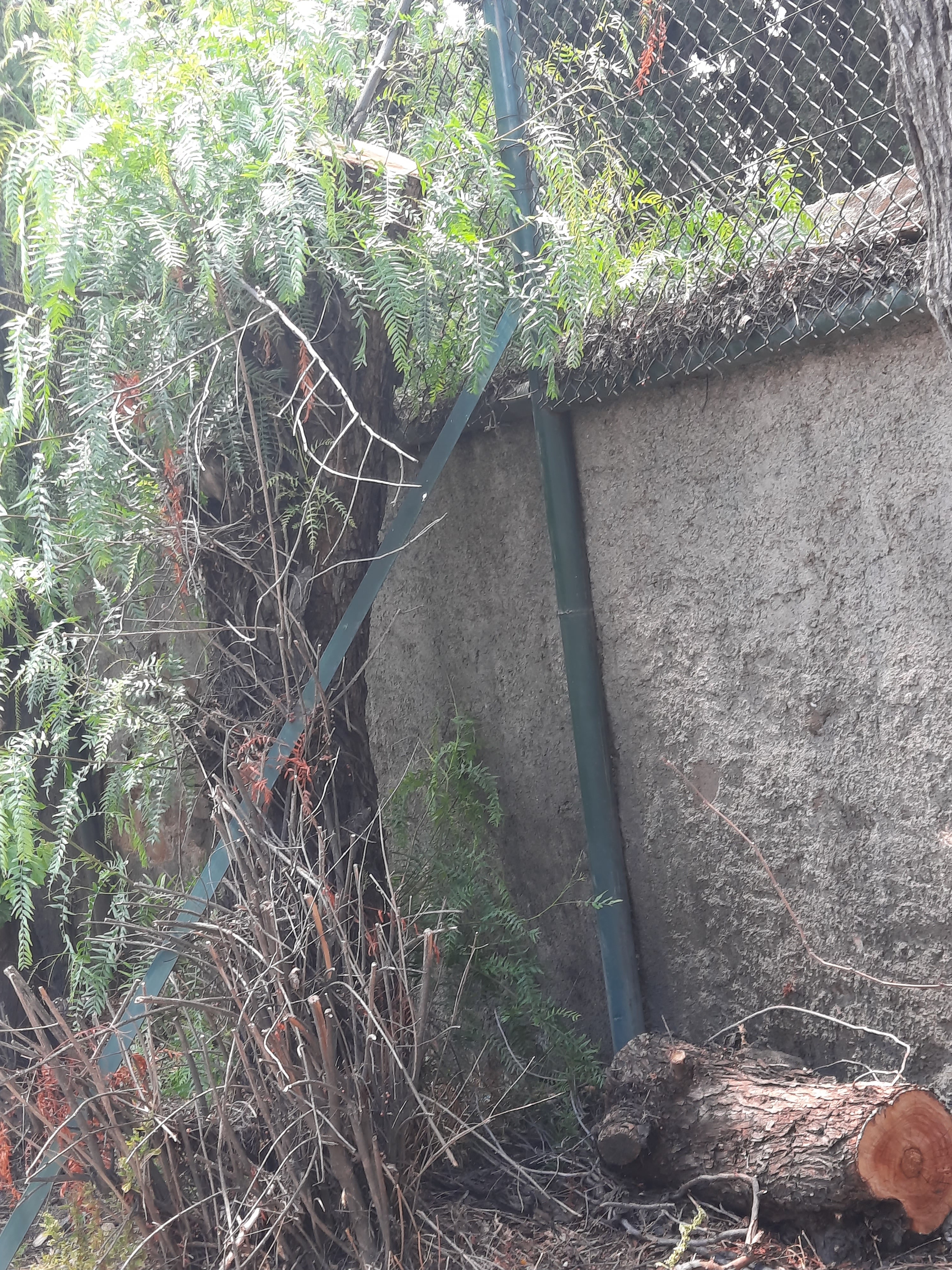 20210615_134902_1.jpg 20210615_134902_1.jpg