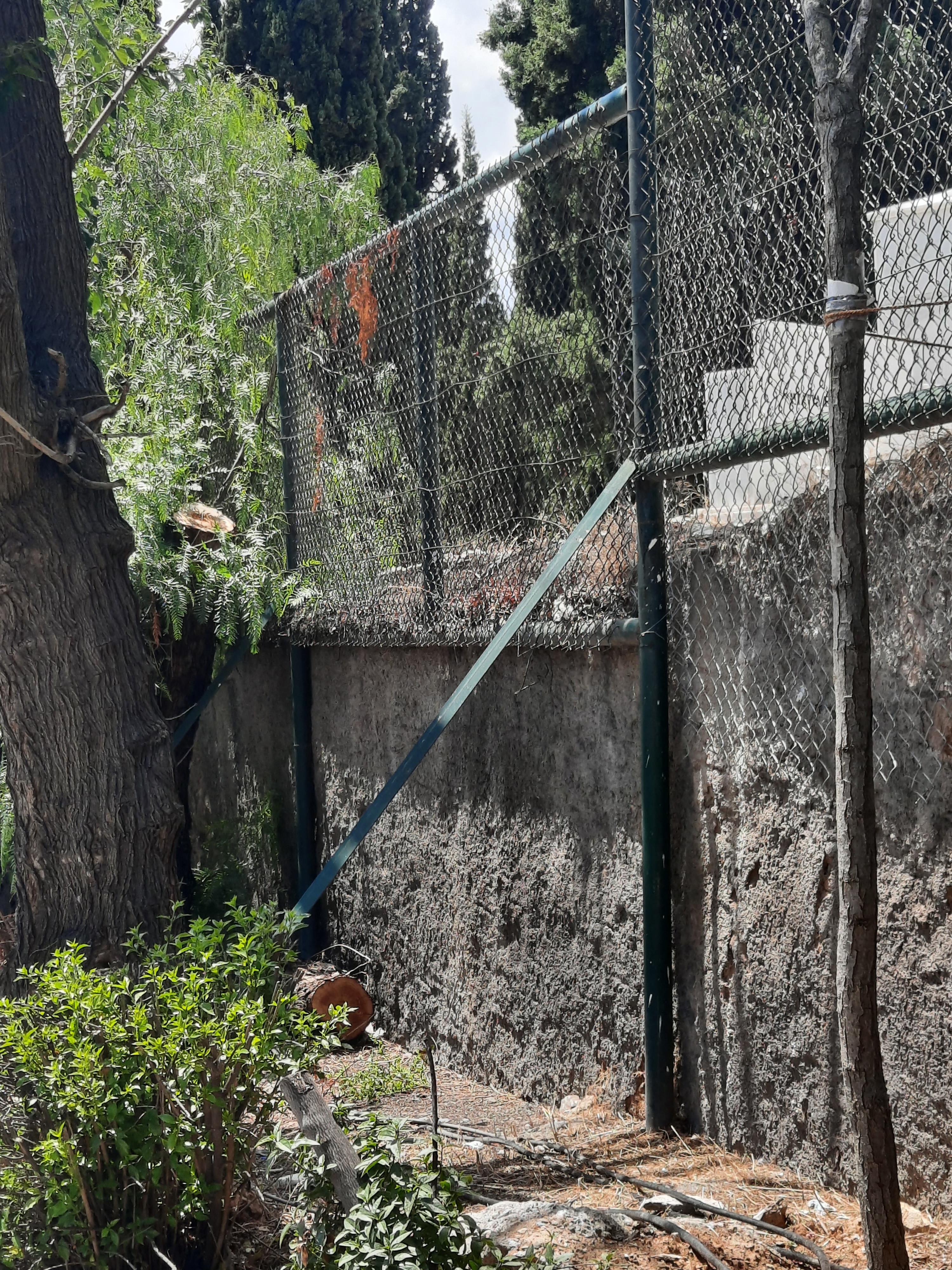 20210615_134930_1_1.jpg 20210615_134930_1_1.jpg