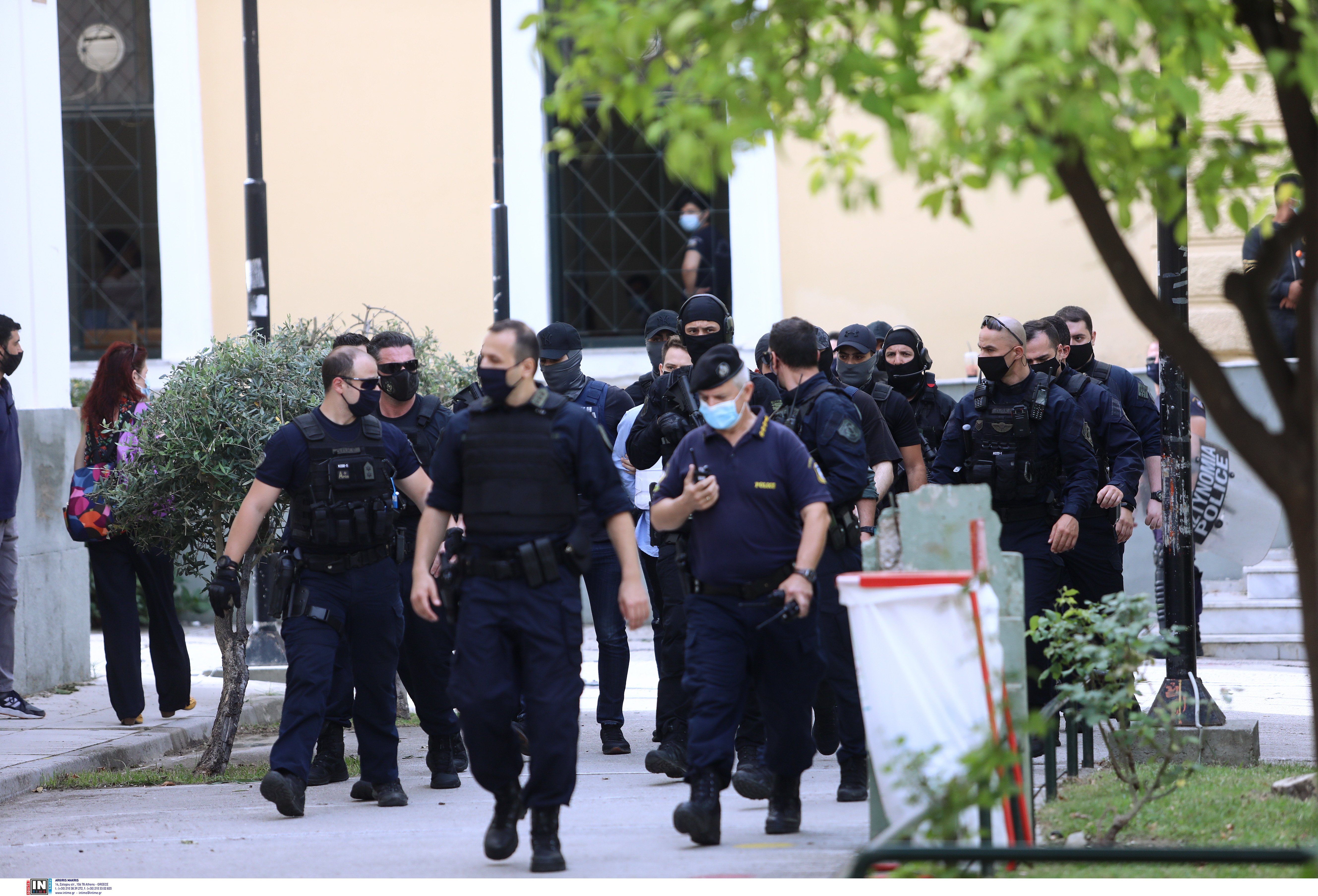 3201786.jpg 3201786.jpg