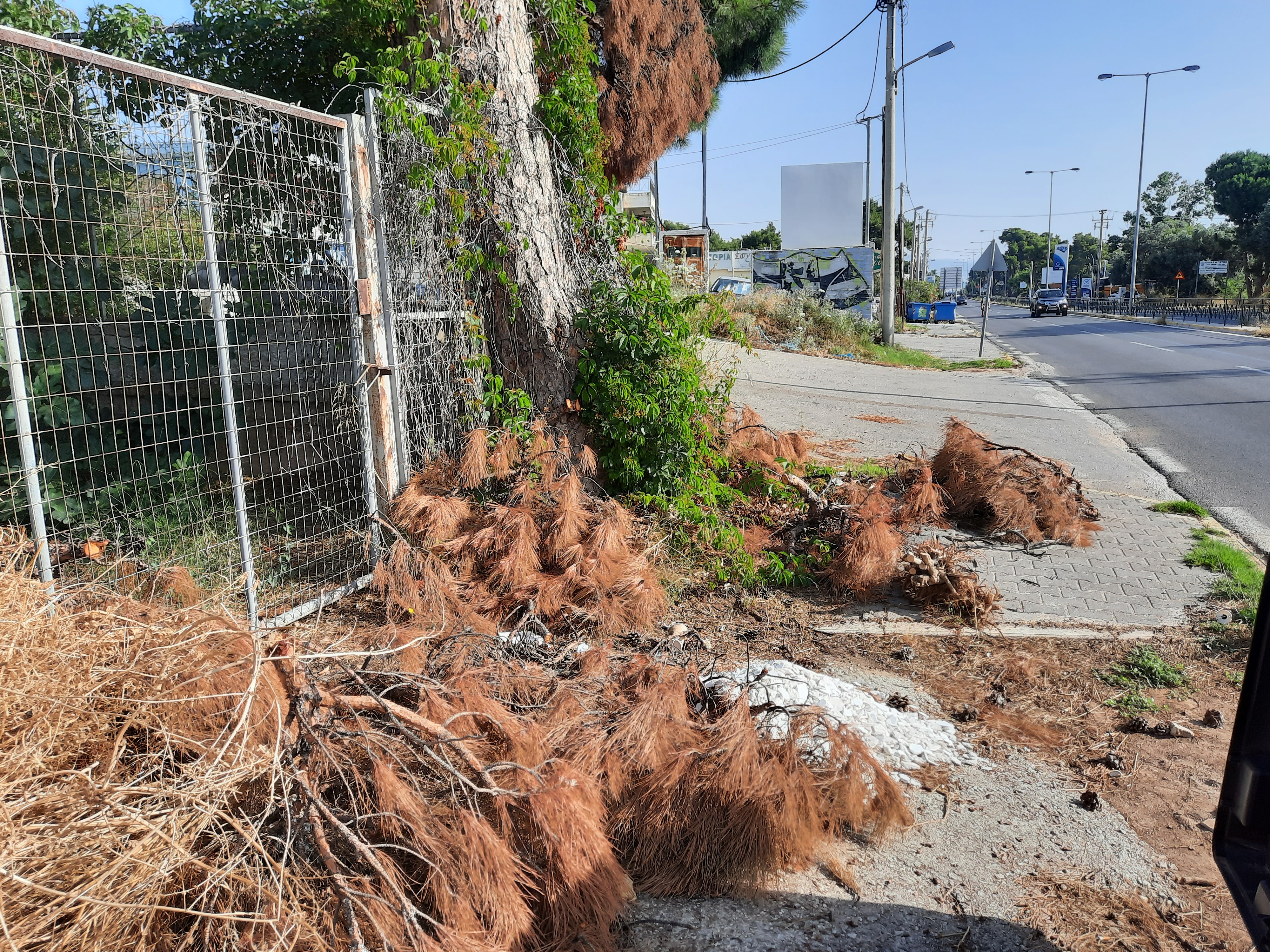 444444.jpg 444444.jpg